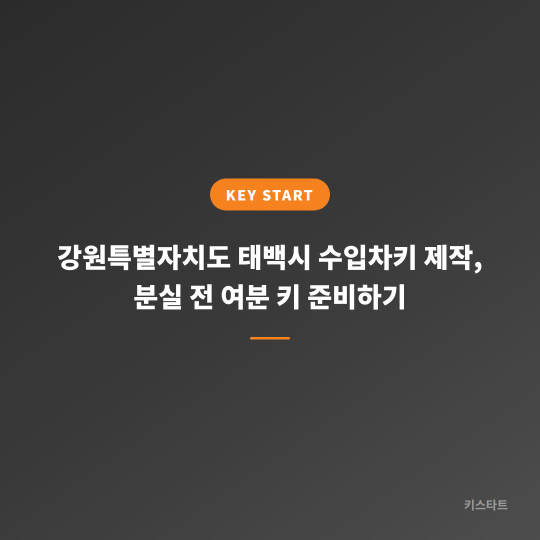 강원특별자치도 태백시 수입차키 제작, 분실 전 여분 키 준비하기