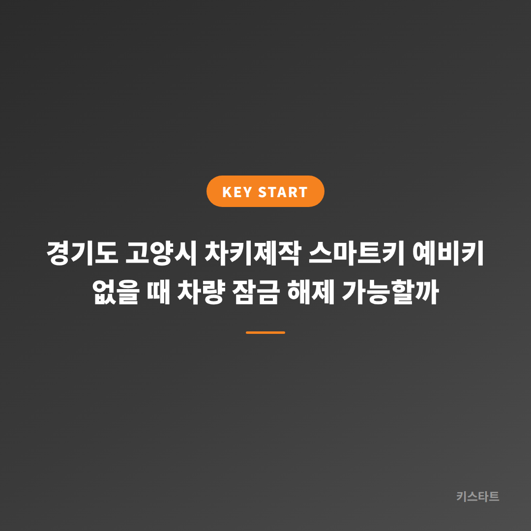 경기도 고양시 차키제작 스마트키 예비키 없을 때 차량 잠금 해제 가능할까