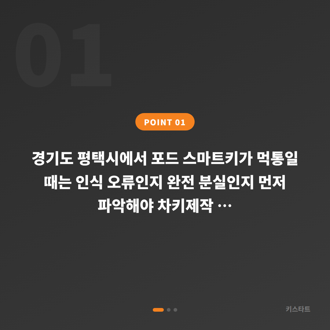 경기도 평택시 포드 스마트키 인식 오류 vs 완전 분실 구분과 차키제작 - 상황 요약