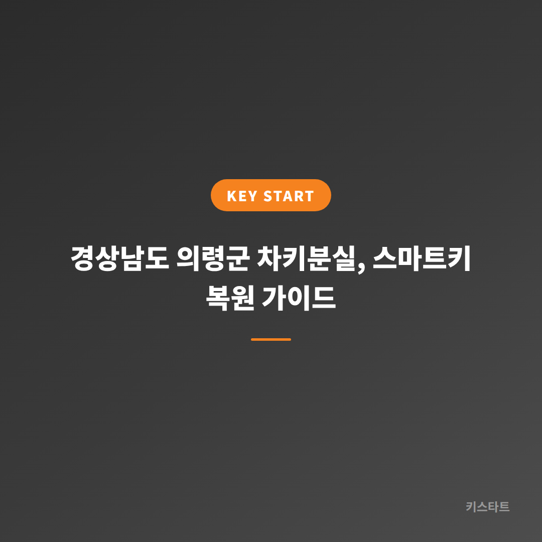 경상남도 의령군 차키분실, 스마트키 복원 가이드
