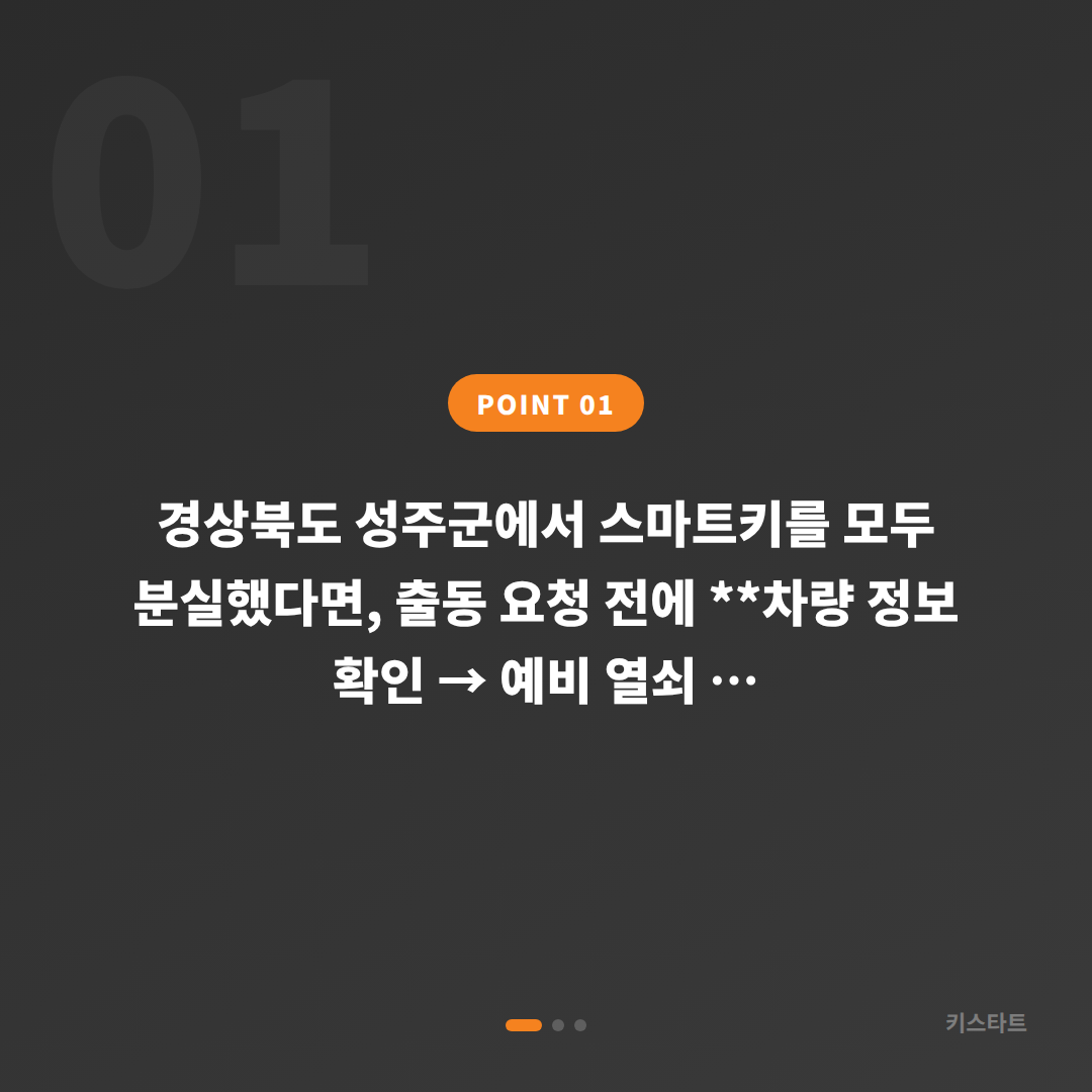 경상북도 성주군 차키분실 긴급 출동 전 꼭 확인해야 할 체크 포인트 - 상황 요약