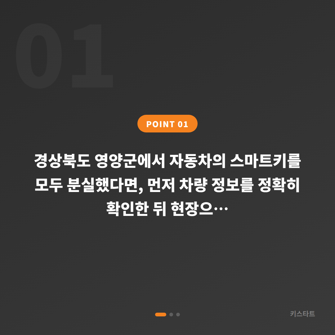 경상북도 영양군 차키분실 시 스마트키제작 필수 확인 과정 - 상황 요약