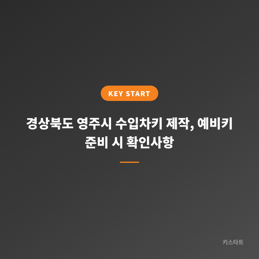 경상북도 영주시 수입차키 제작, 예비키 준비 시 확인사항