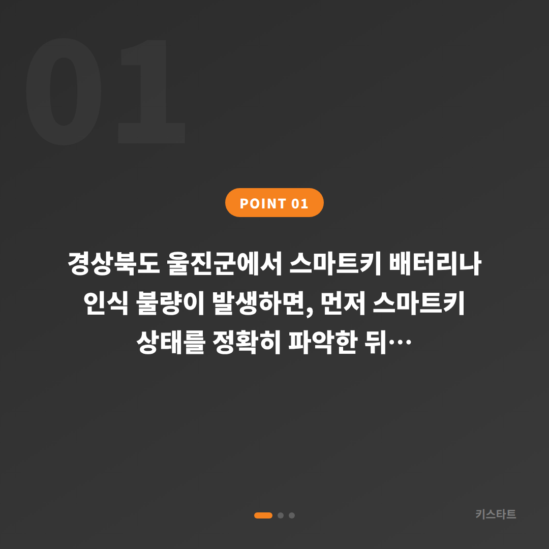 경상북도 울진군 수입차키 제작 - 스마트키 배터리·인식 불량 분실 전 준비 - 상황 요약
