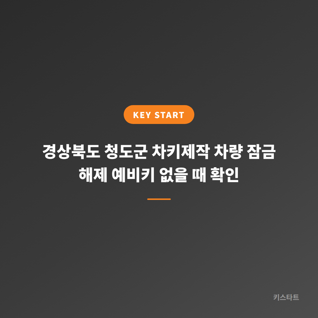 경상북도 청도군 차키제작 차량 잠금 해제 예비키 없을 때 확인