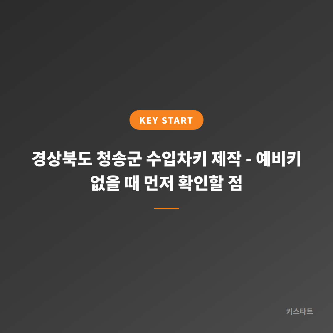 경상북도 청송군 수입차키 제작 - 예비키 없을 때 먼저 확인할 점