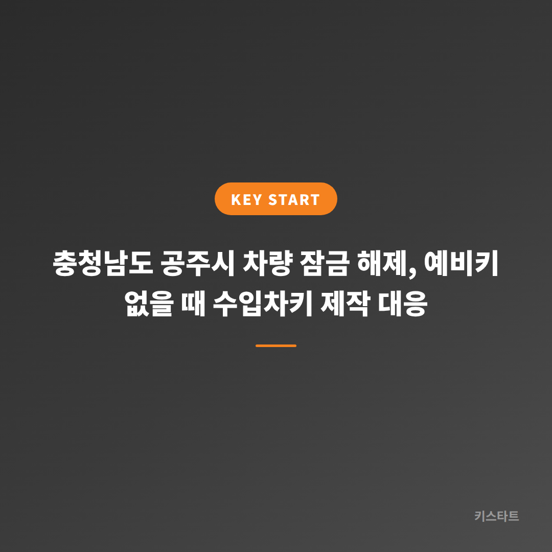 충청남도 공주시 차량 잠금 해제, 예비키 없을 때 수입차키 제작 대응