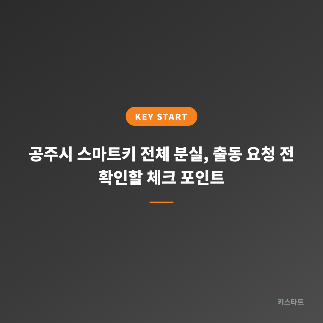 공주시 스마트키 전체 분실, 출동 요청 전 확인할 체크 포인트