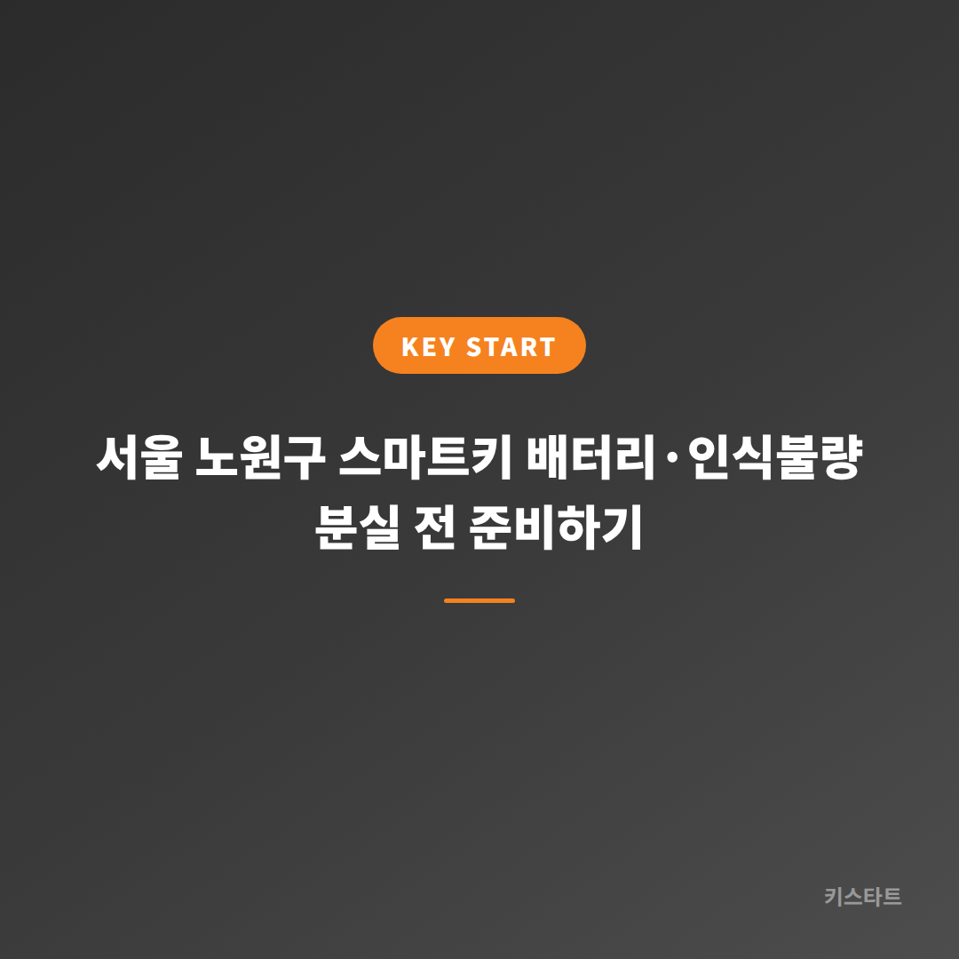 서울 노원구 스마트키 배터리·인식불량 분실 전 준비하기