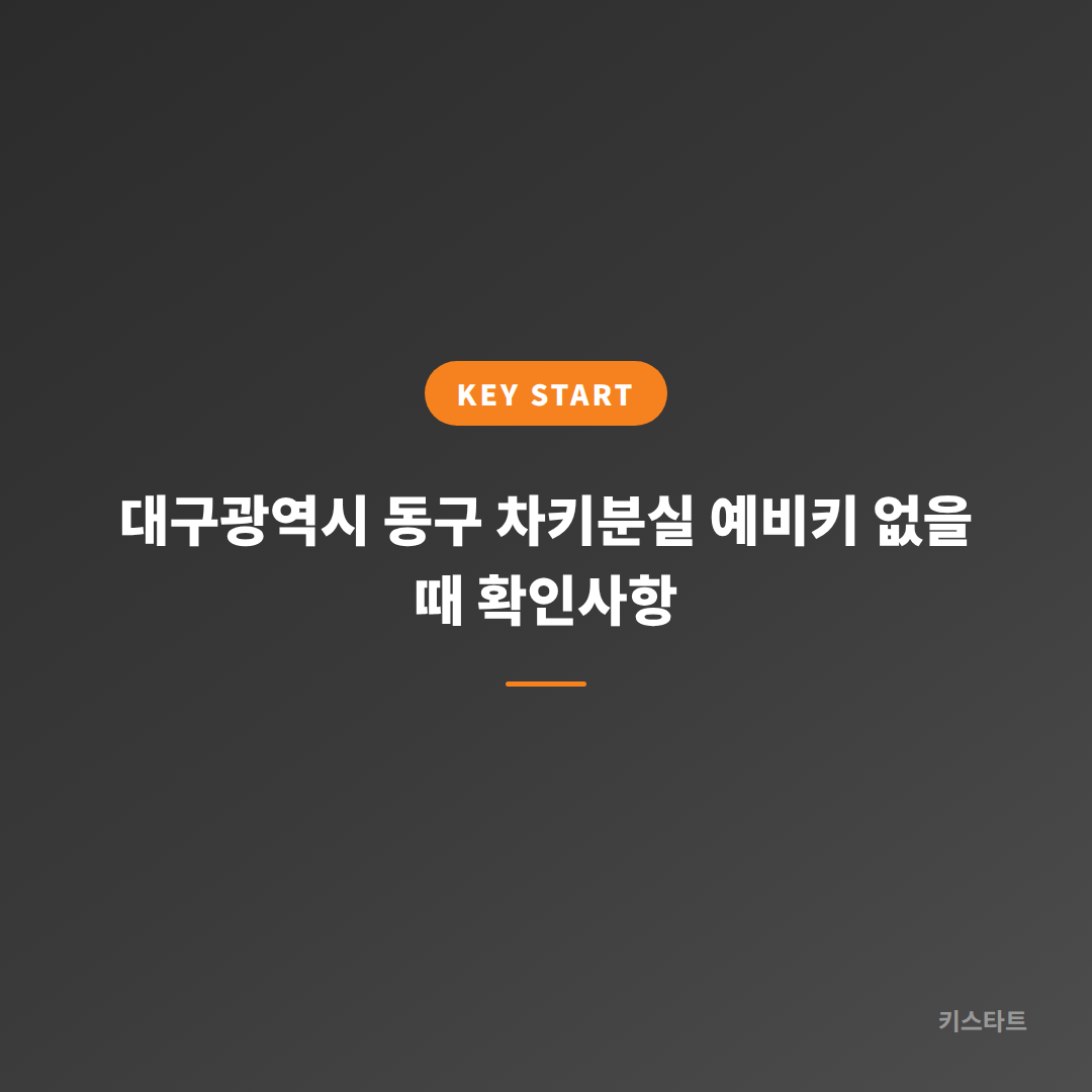 대구광역시 동구 차키분실 예비키 없을 때 확인사항