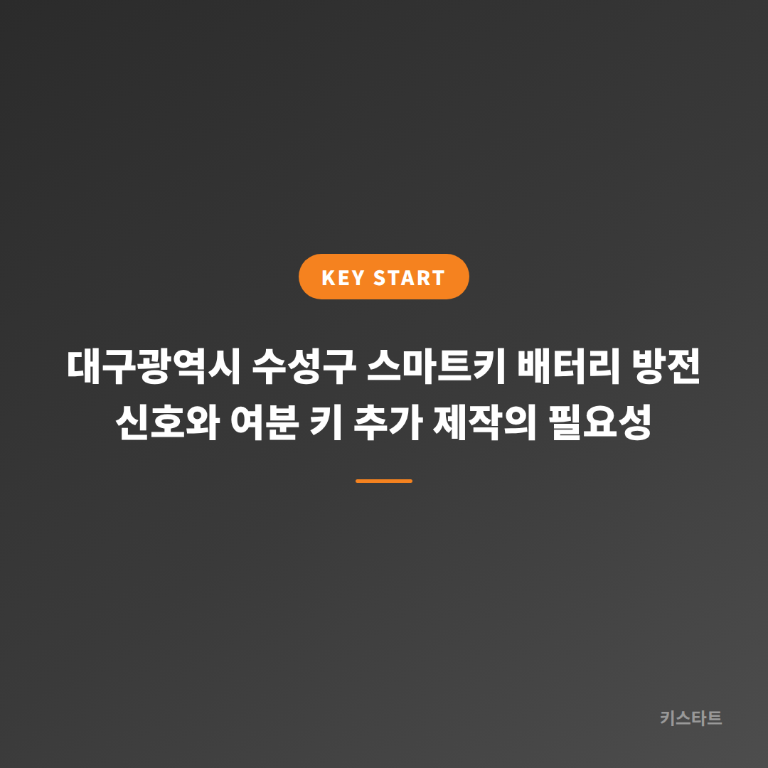 대구광역시 수성구 스마트키 배터리 방전 신호와 여분 키 추가 제작의 필요성