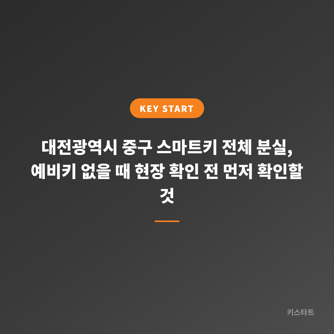 대전광역시 중구 스마트키 전체 분실, 예비키 없을 때 현장 확인 전 먼저 확인할 것