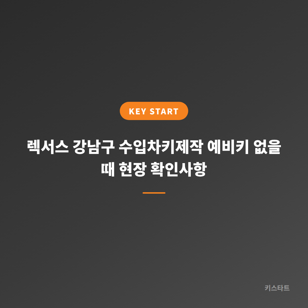 렉서스 강남구 수입차키제작 예비키 없을 때 현장 확인사항