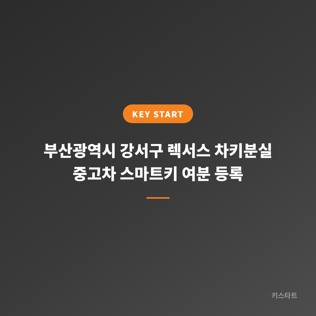 부산광역시 강서구 렉서스 차키분실 중고차 스마트키 여분 등록