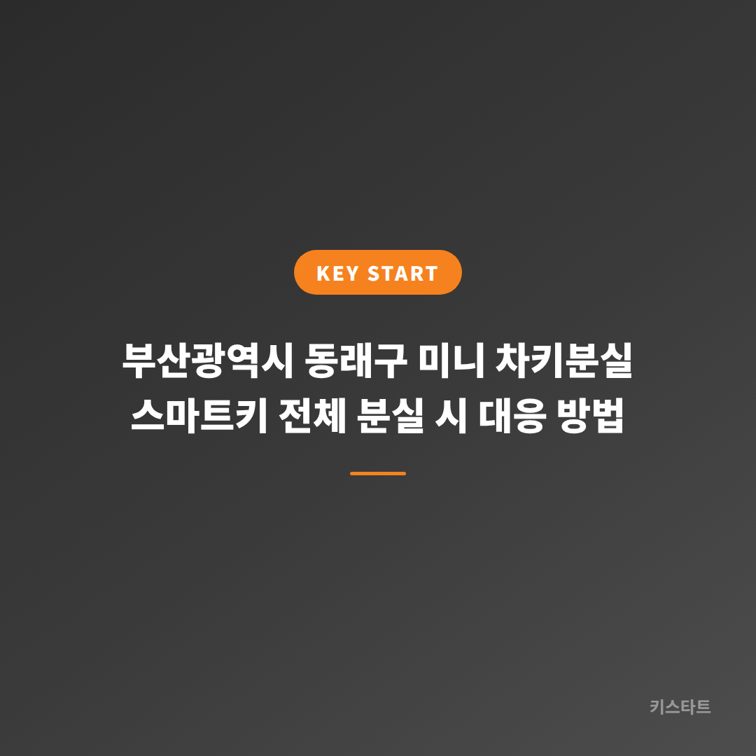 부산광역시 동래구 미니 차키분실 스마트키 전체 분실 시 대응 방법