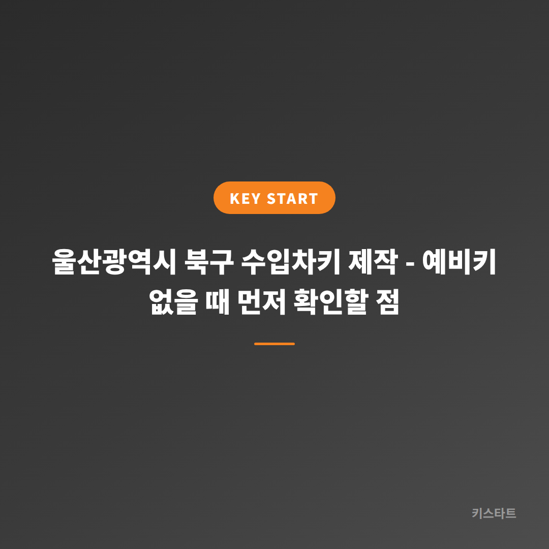 울산광역시 북구 수입차키 제작 - 예비키 없을 때 먼저 확인할 점