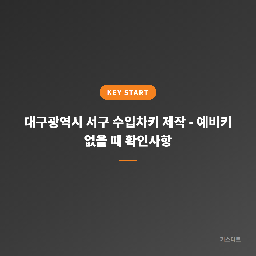 대구광역시 서구 수입차키 제작 - 예비키 없을 때 확인사항