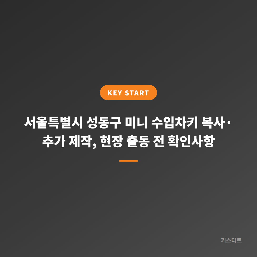 서울특별시 성동구 미니 수입차키 복사·추가 제작, 현장 출동 전 확인사항