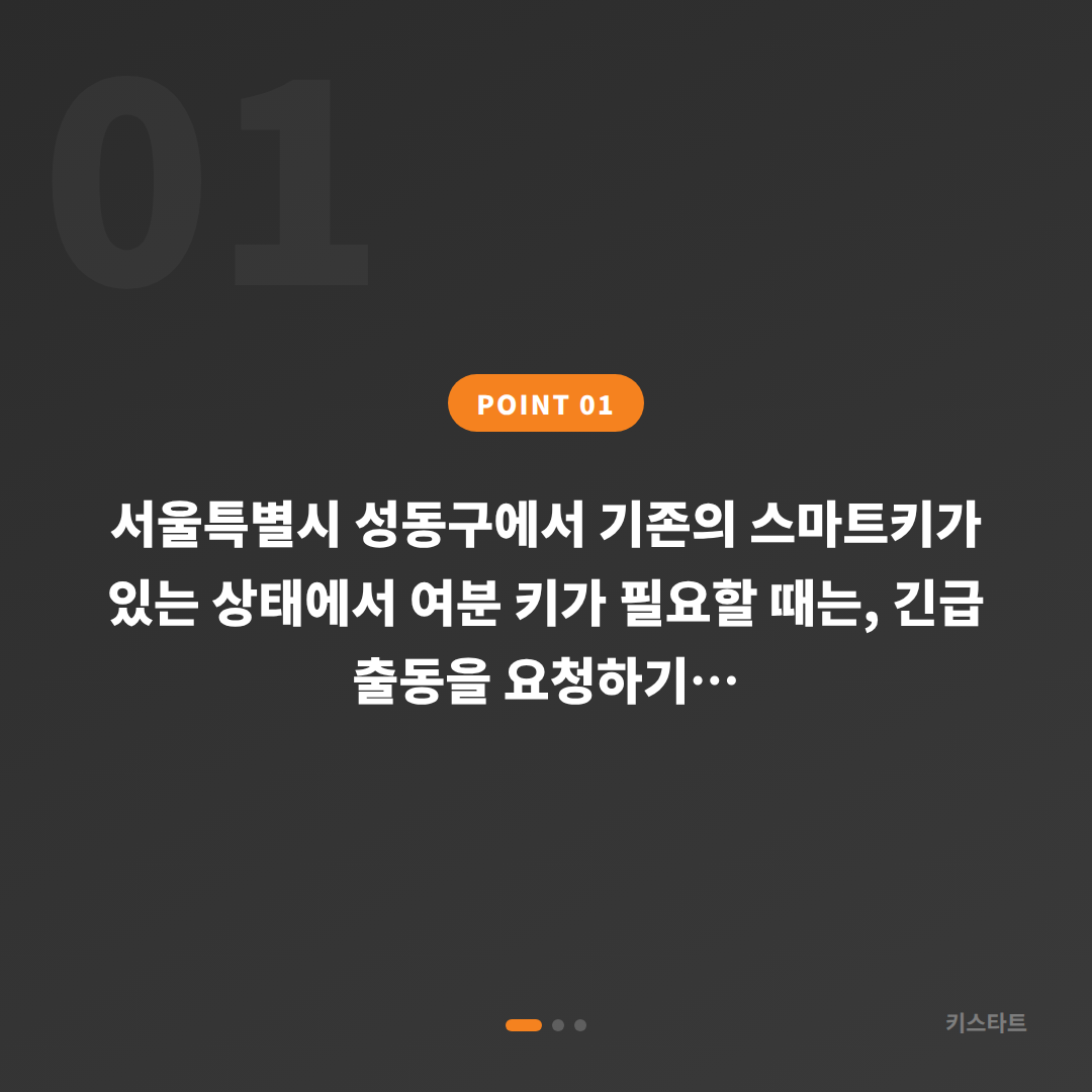 서울특별시 성동구 미니 수입차키 복사·추가 제작, 현장 출동 전 확인사항 - 상황 요약