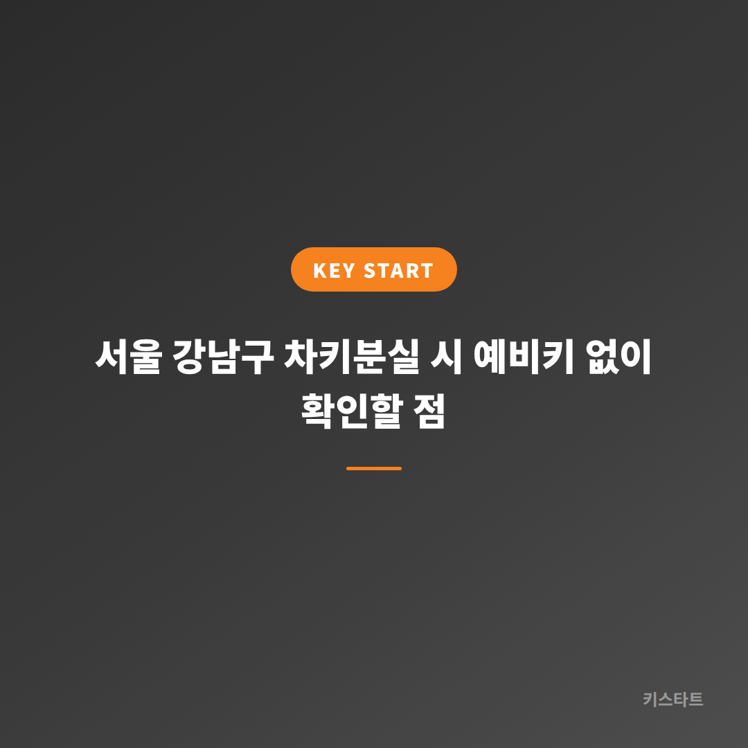 서울 강남구 차키분실 시 예비키 없이 확인할 점