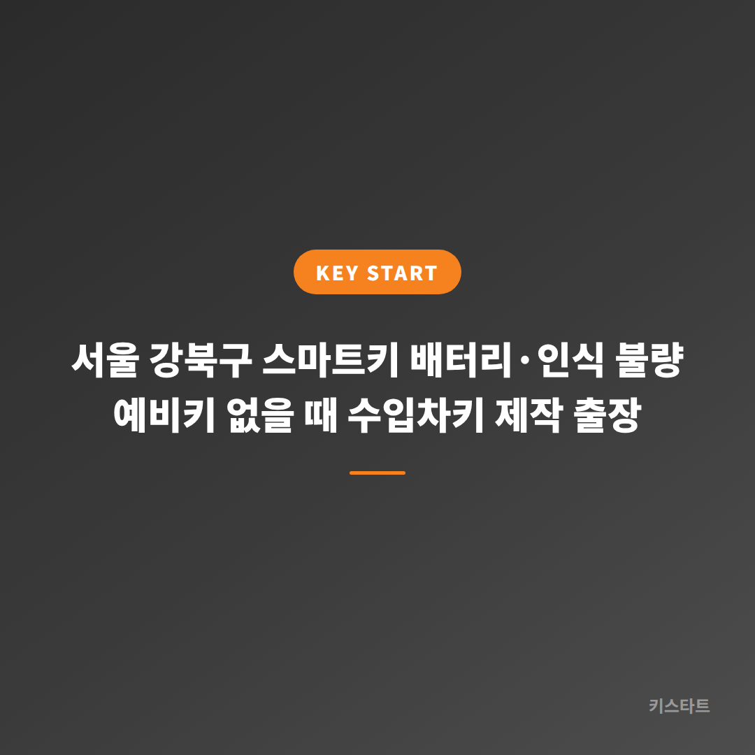 서울 강북구 스마트키 배터리·인식 불량 예비키 없을 때 수입차키 제작 출장