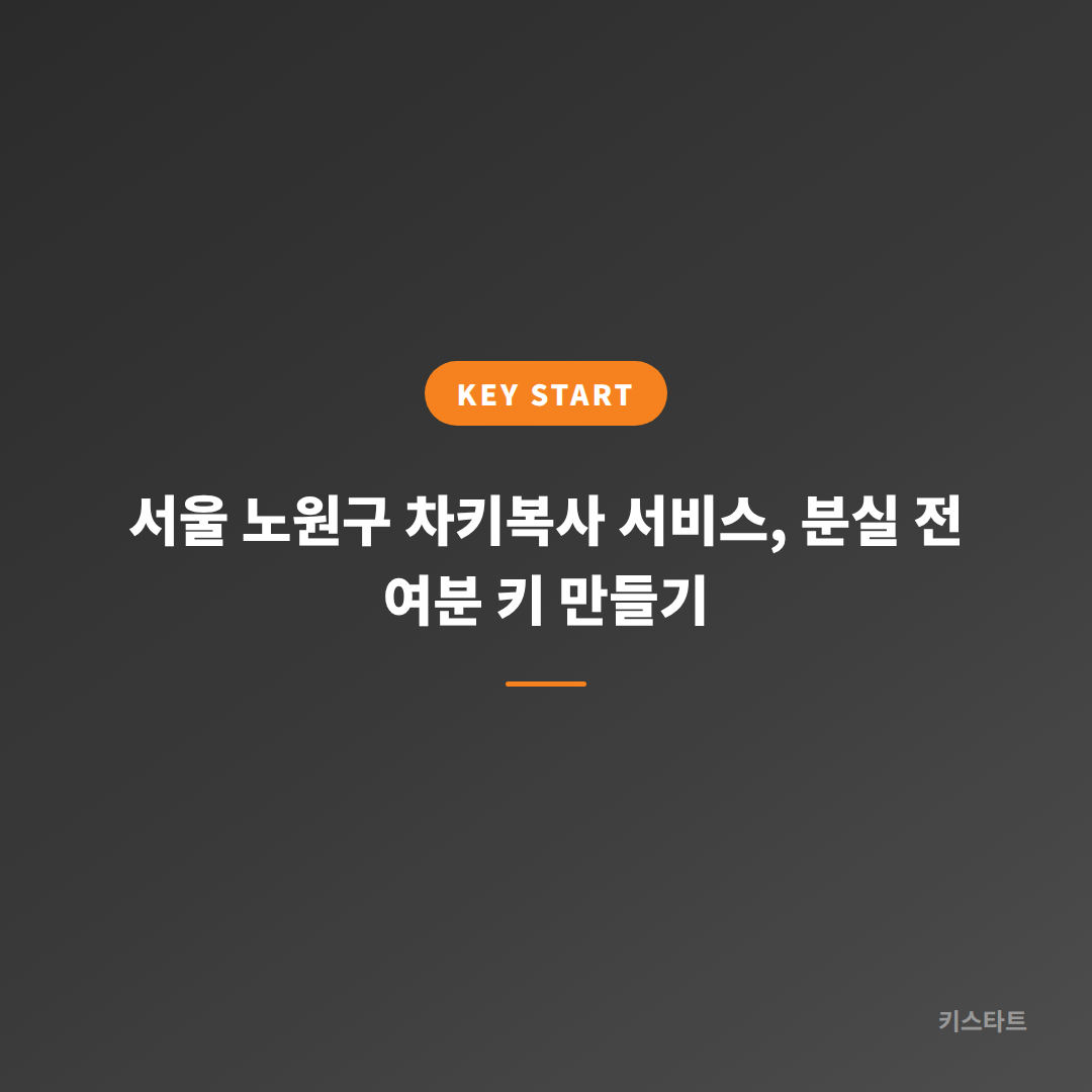 서울 노원구 차키복사 서비스, 분실 전 여분 키 만들기