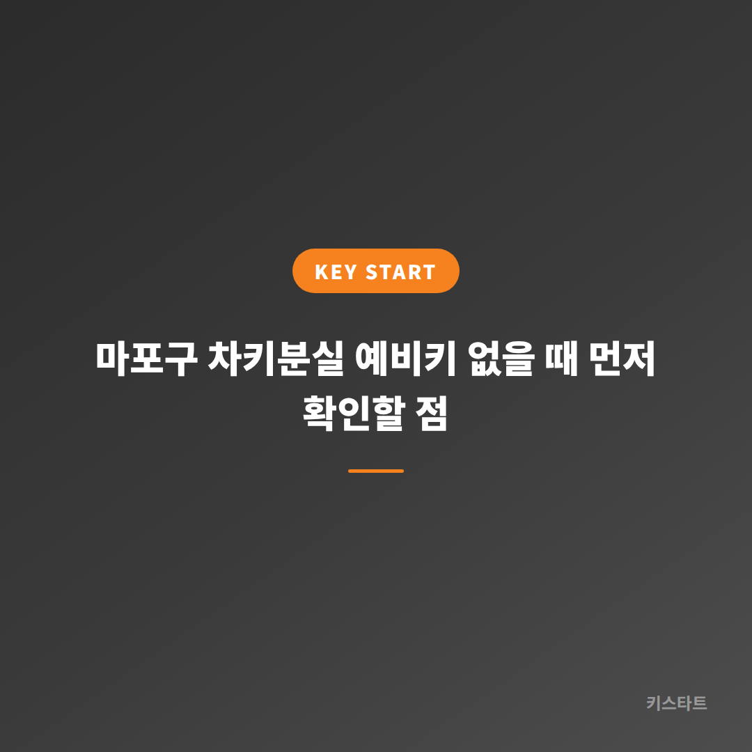 마포구 차키분실 예비키 없을 때 먼저 확인할 점