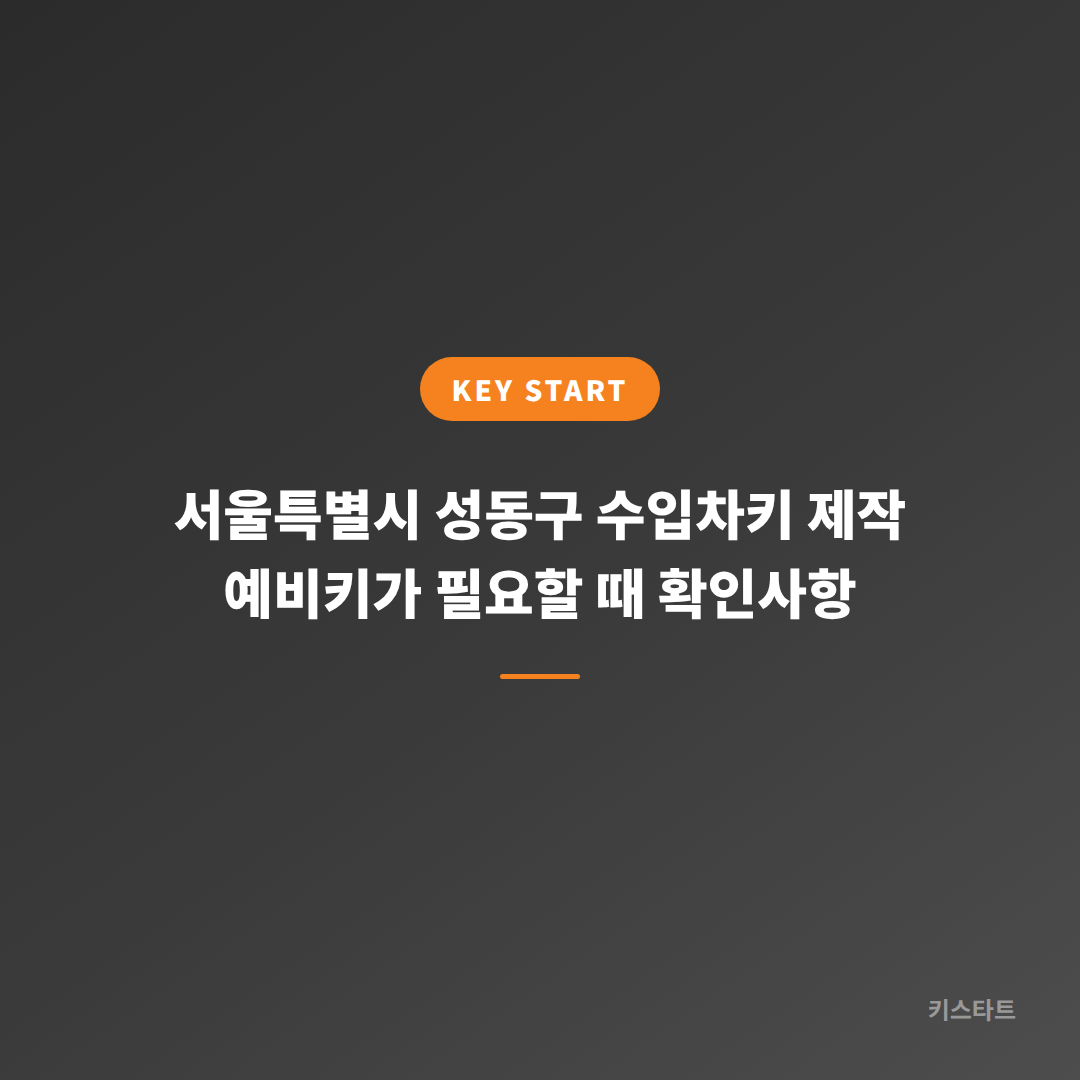 서울특별시 성동구 수입차키 제작 예비키가 필요할 때 확인사항