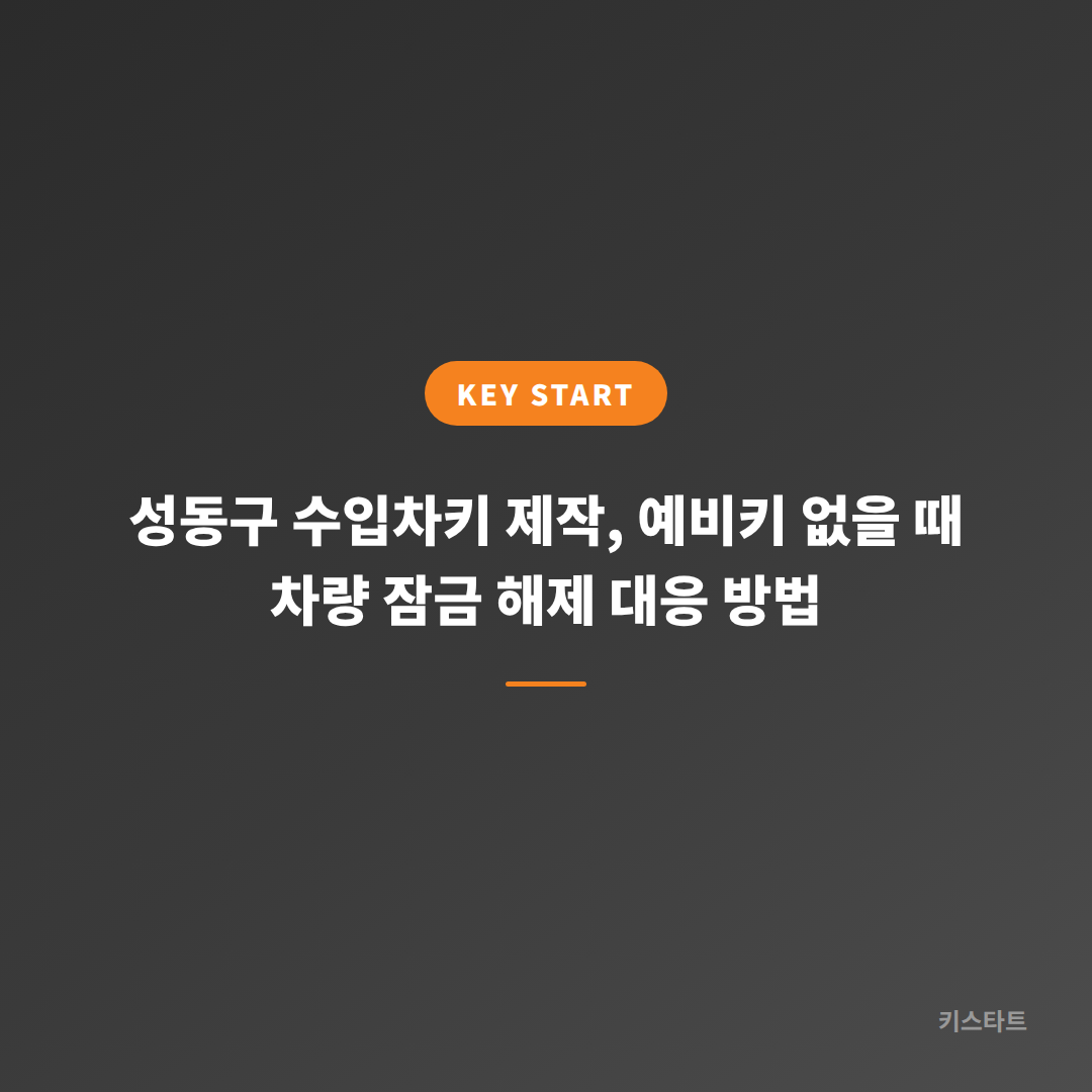 성동구 수입차키 제작, 예비키 없을 때 차량 잠금 해제 대응 방법
