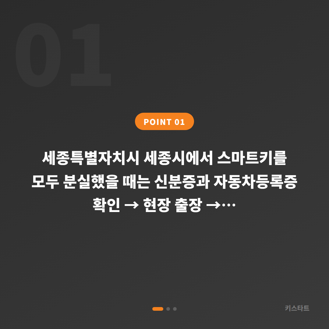 세종시 스마트키 차키분실 전에 꼭 확인하고 준비할 것 - 상황 요약