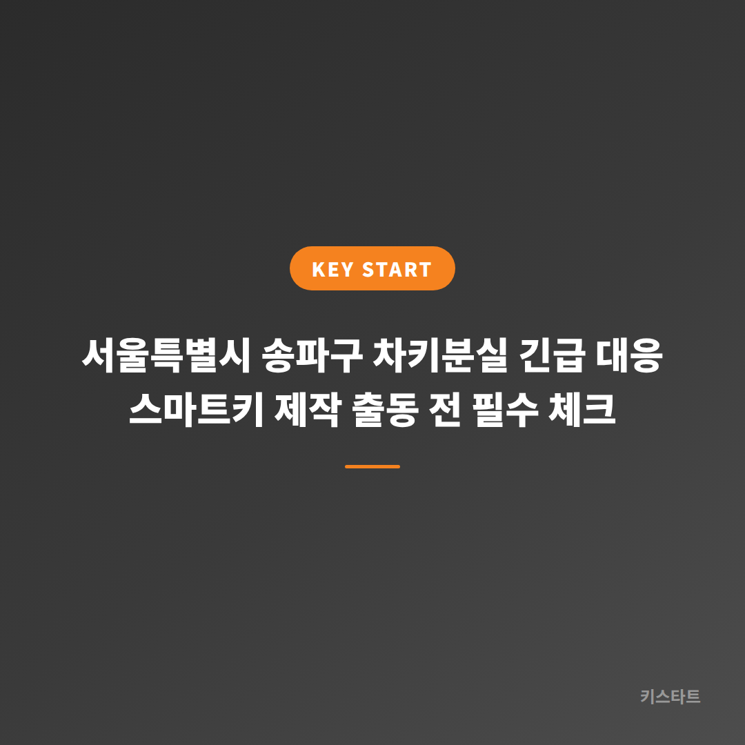 서울특별시 송파구 차키분실 긴급 대응 스마트키 제작 출동 전 필수 체크