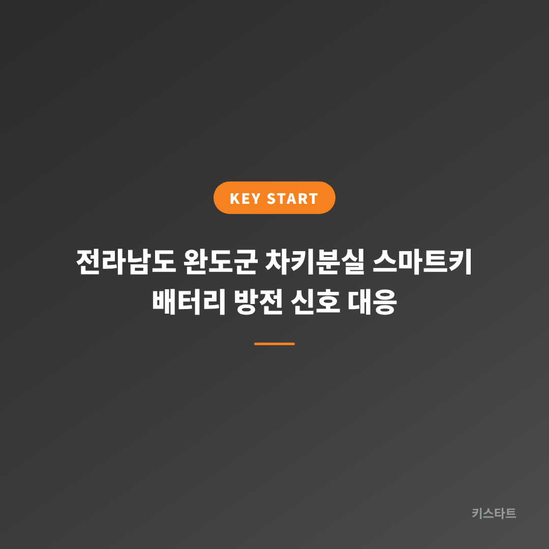 전라남도 완도군 차키분실 스마트키 배터리 방전 신호 대응