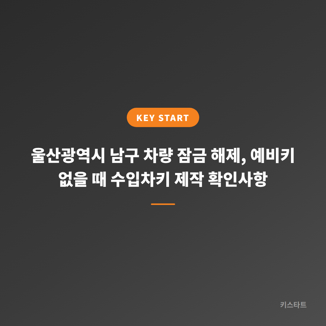 울산광역시 남구 차량 잠금 해제, 예비키 없을 때 수입차키 제작 확인사항