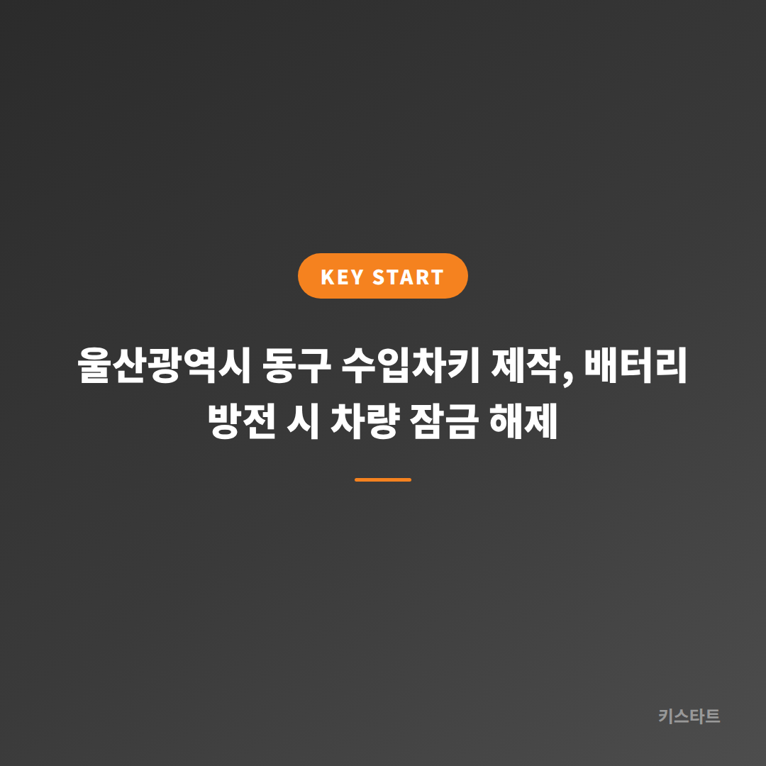 울산광역시 동구 수입차키 제작, 배터리 방전 시 차량 잠금 해제