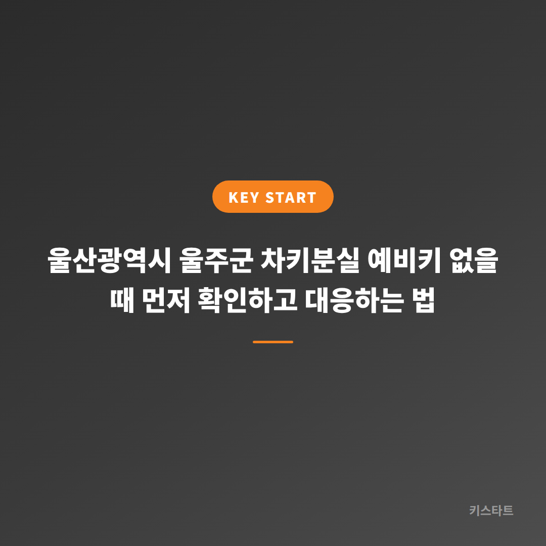 울산광역시 울주군 차키분실 예비키 없을 때 먼저 확인하고 대응하는 법