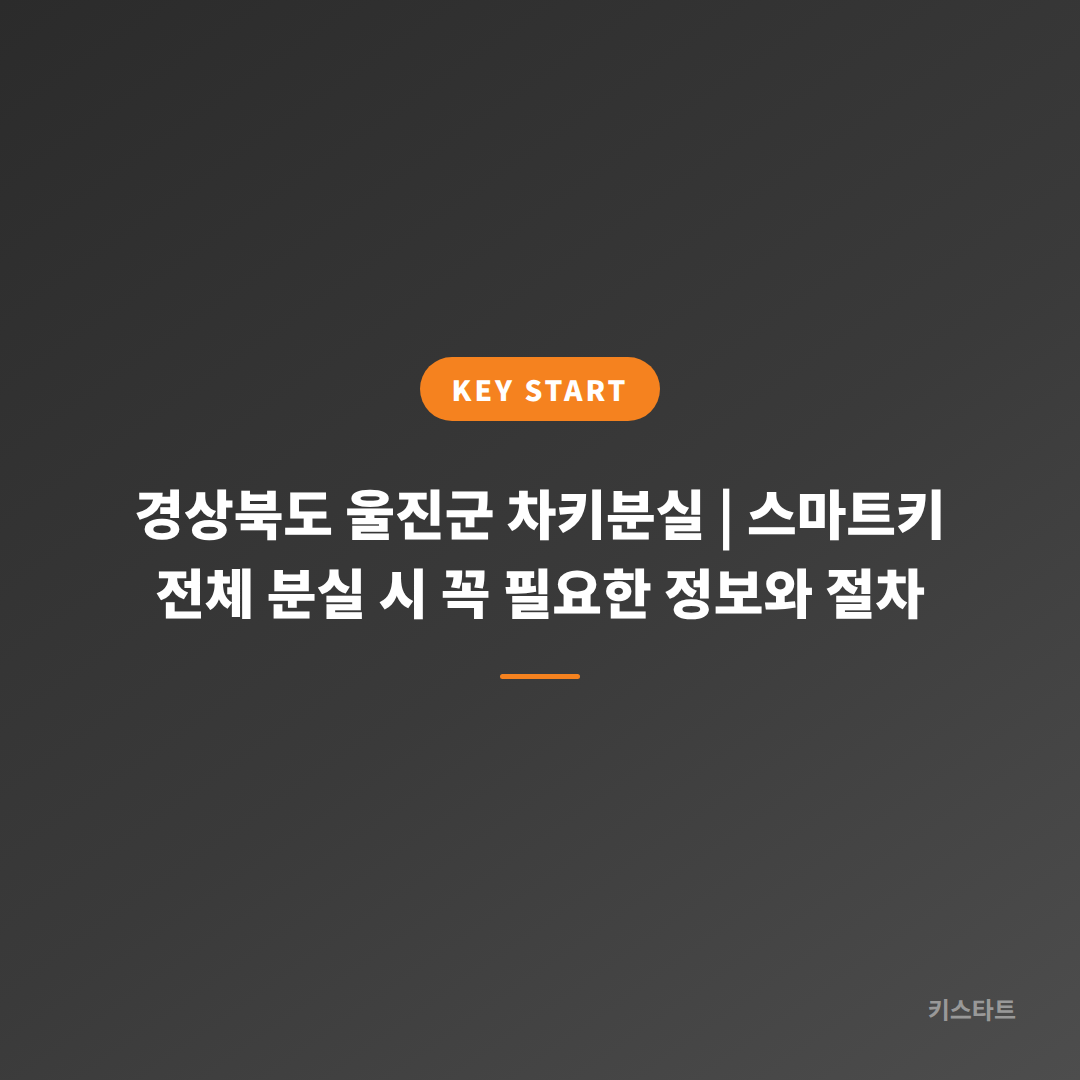 경상북도 울진군 차키분실 | 스마트키 전체 분실 시 꼭 필요한 정보와 절차