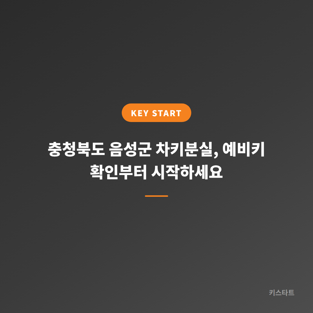 충청북도 음성군 차키분실, 예비키 확인부터 시작하세요