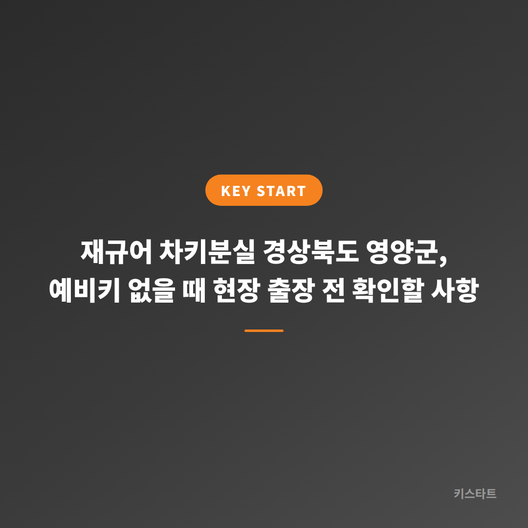 재규어 차키분실 경상북도 영양군, 예비키 없을 때 현장 출장 전 확인할 사항