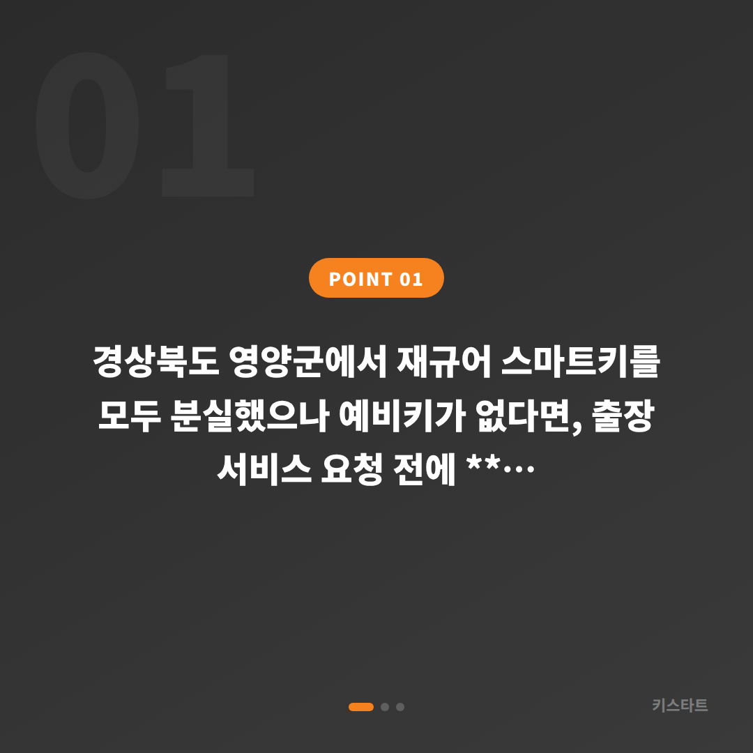 재규어 차키분실 경상북도 영양군, 예비키 없을 때 현장 출장 전 확인할 사항 - 상황 요약
