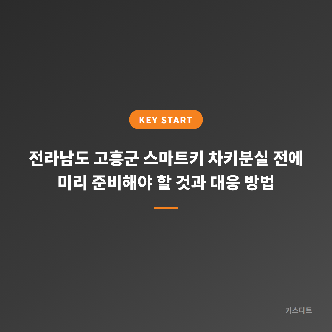 전라남도 고흥군 스마트키 차키분실 전에 미리 준비해야 할 것과 대응 방법