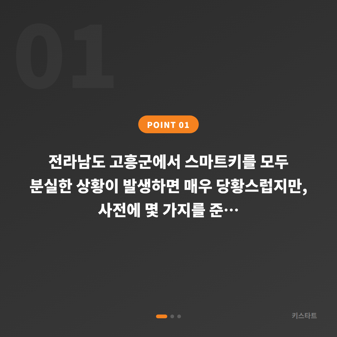 전라남도 고흥군 스마트키 차키분실 전에 미리 준비해야 할 것과 대응 방법 - 상황 요약