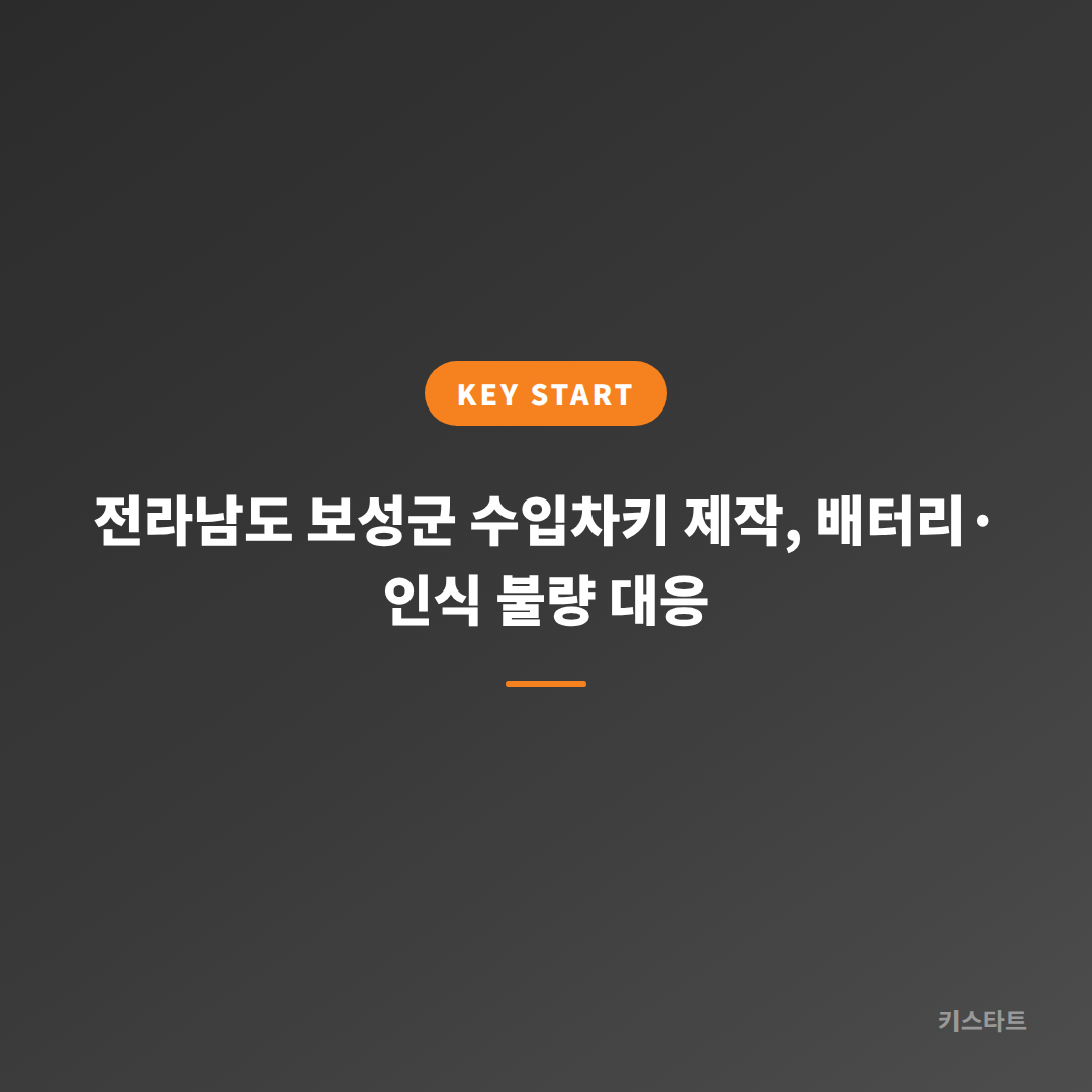 전라남도 보성군 수입차키 제작, 배터리·인식 불량 대응