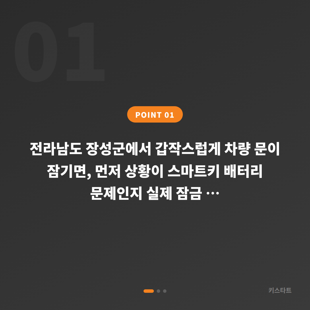 전라남도 장성군 수입차키 제작·차량 잠금 해제 출장 대응 - 상황 요약