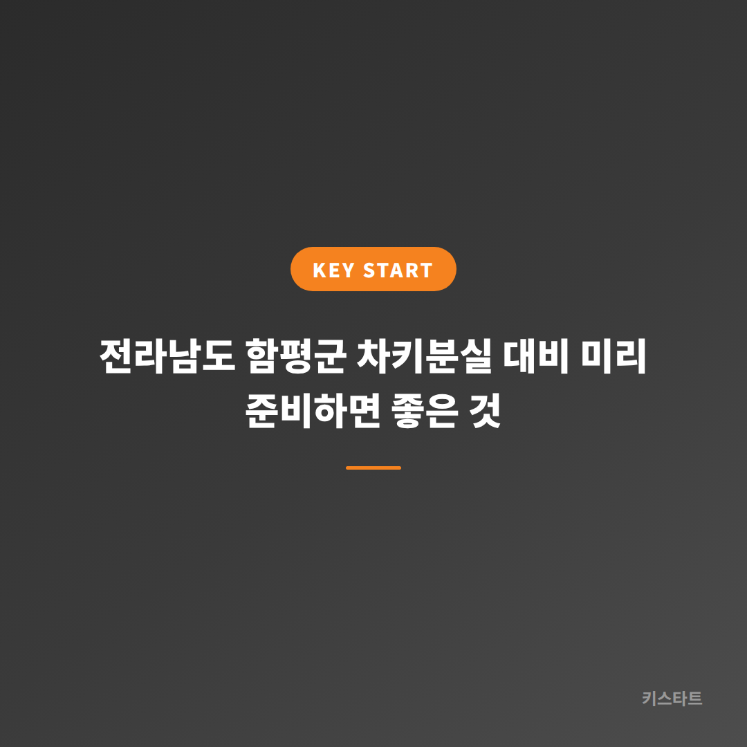전라남도 함평군 차키분실 대비 미리 준비하면 좋은 것