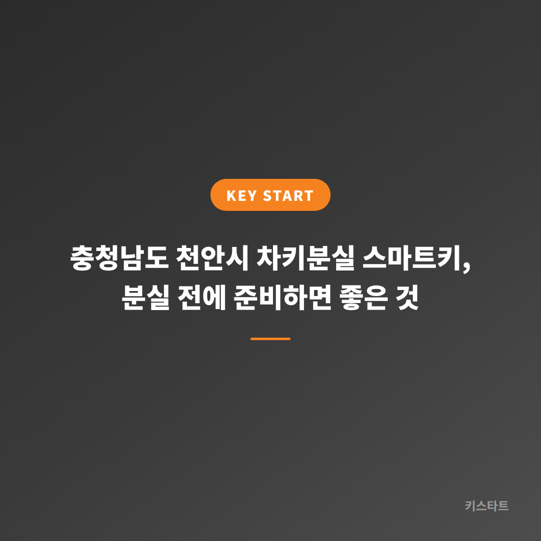 충청남도 천안시 차키분실 스마트키, 분실 전에 준비하면 좋은 것