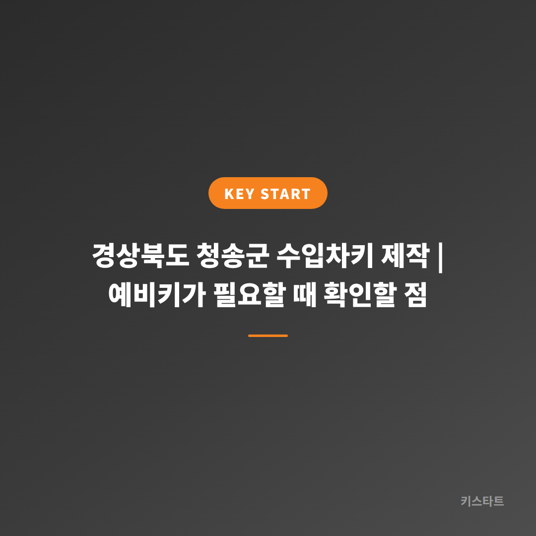 경상북도 청송군 수입차키 제작 | 예비키가 필요할 때 확인할 점