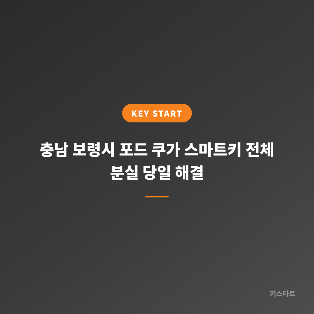 충남 보령시 포드 쿠가 스마트키 전체 분실 당일 해결 대표 이미지