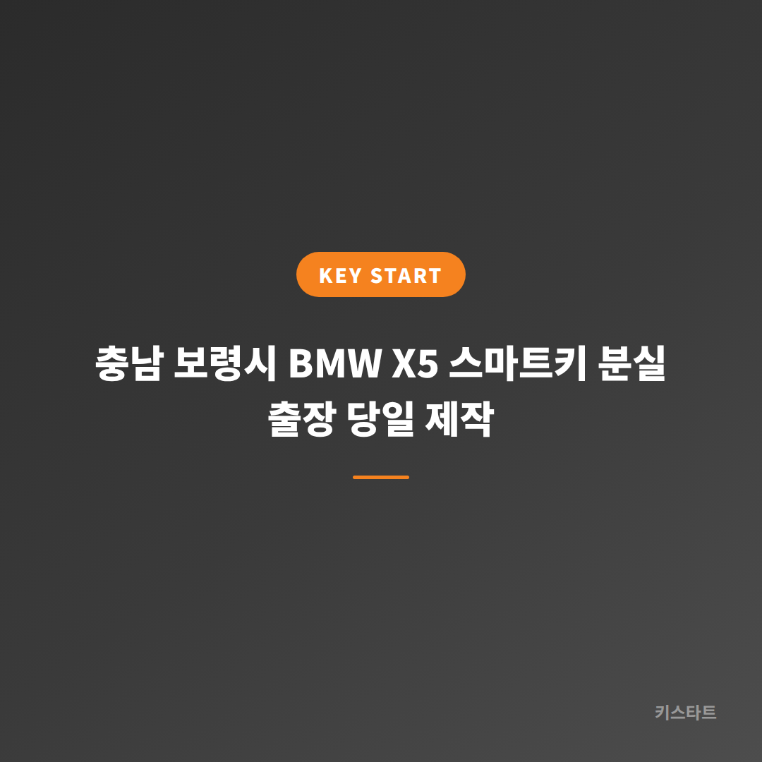 충남 보령시 BMW X5 스마트키 분실 출장 당일 제작 대표 이미지