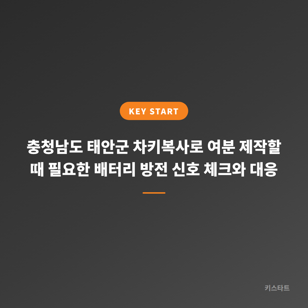 충청남도 태안군 차키복사로 여분 제작할 때 필요한 배터리 방전 신호 체크와 대응