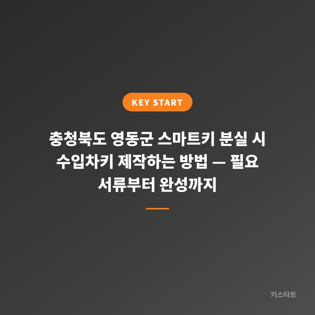 충청북도 영동군 스마트키 분실 시 수입차키 제작하는 방법 — 필요 서류부터 완성까지
